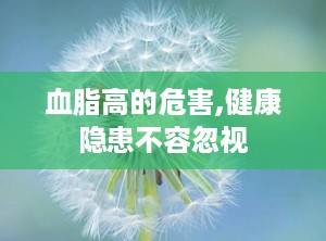 血脂高的危害,健康隐患不容忽视