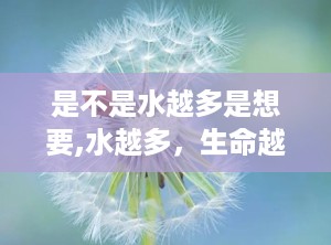 是不是水越多是想要,水越多，生命越繁盛？