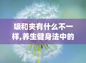 吸和夹有什么不一样,养生健身法中的呼吸与肌肉控制奥秘