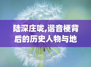 陆深庄咙,谐音梗背后的历史人物与地名渊源