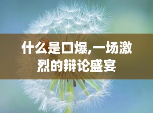 什么是口爆,一场激烈的辩论盛宴