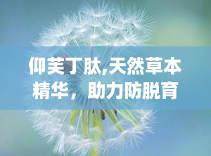 仰芙丁肽,天然草本精华，助力防脱育发新体验”