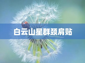 白云山星群颈肩贴