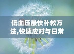 低血压最快补救方法,快速应对与日常保健指南”