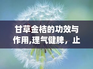 甘草金桔的功效与作用,理气健脾，止咳化痰，养生保健的天然良品