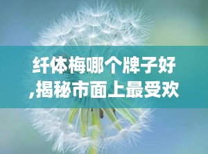 纤体梅哪个牌子好,揭秘市面上最受欢迎的纤体梅品牌，助你轻松瘦身！