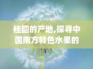 桂圆的产地,探寻中国南方特色水果的种植奥秘