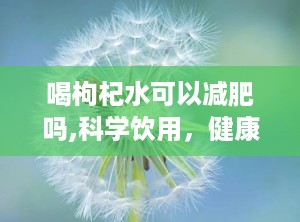 喝枸杞水可以减肥吗,科学饮用，健康瘦身