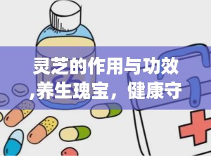 灵芝的作用与功效,养生瑰宝，健康守护神