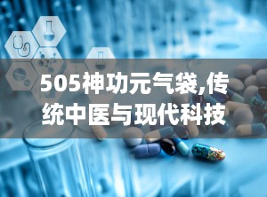 505神功元气袋,传统中医与现代科技的结合，养生保健新选择”