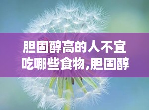 胆固醇高的人不宜吃哪些食物,胆固醇高人群饮食禁忌概览
