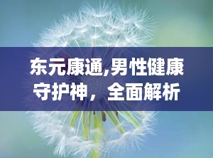 东元康通,男性健康守护神，全面解析其功效与作用”
