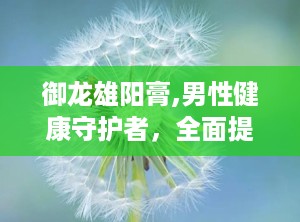 御龙雄阳膏,男性健康守护者，全面提升生活品质”