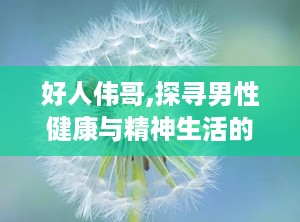 好人伟哥,探寻男性健康与精神生活的双重守护者