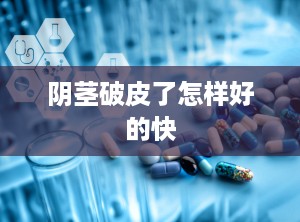 阴茎破皮了怎样好的快