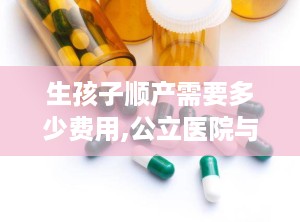 生孩子顺产需要多少费用,公立医院与私立医院费用对比及影响因素解析”