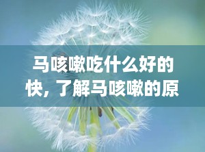 马咳嗽吃什么好的快, 了解马咳嗽的原因