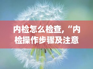 内检怎么检查,“内检操作步骤及注意事项详解”