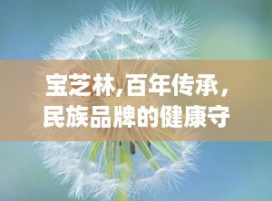 宝芝林,百年传承，民族品牌的健康守护者