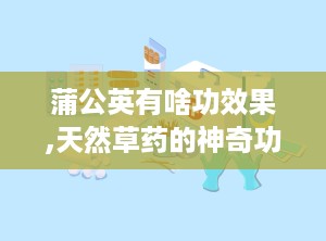 蒲公英有啥功效果,天然草药的神奇功效与广泛应用