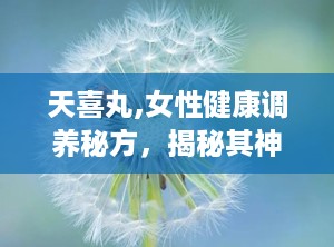 天喜丸,女性健康调养秘方，揭秘其神奇功效与正确使用方法