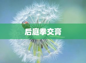 后庭拳交膏