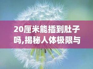 20厘米能插到肚子吗,揭秘人体极限与安全边界