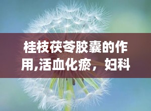 桂枝茯苓胶囊的作用,活血化瘀，妇科良药，多重功效守护女性健康