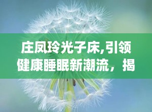 庄凤玲光子床,引领健康睡眠新潮流，揭秘养生床的神奇功效与价格解析”