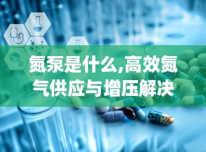 氮泵是什么,高效氮气供应与增压解决方案概述