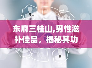 东府三桂山,男性滋补佳品，揭秘其功效与使用指南