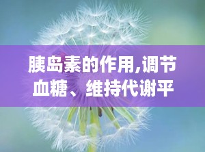 胰岛素的作用,调节血糖、维持代谢平衡的关键激素