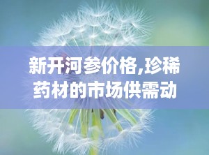 新开河参价格,珍稀药材的市场供需动态”