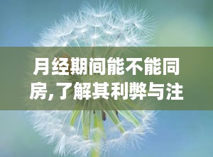 月经期间能不能同房,了解其利弊与注意事项