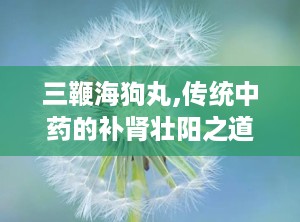 三鞭海狗丸,传统中药的补肾壮阳之道”