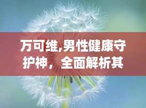 万可维,男性健康守护神，全面解析其功效与作用