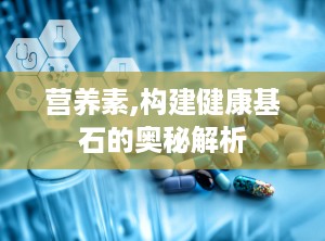 营养素,构建健康基石的奥秘解析