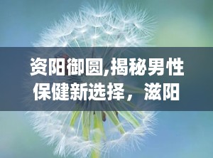 资阳御圆,揭秘男性保健新选择，滋阳御元助力健康生活