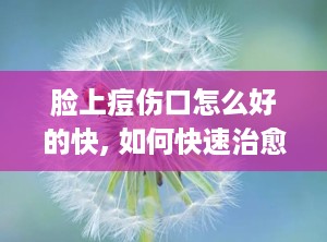 脸上痘伤口怎么好的快, 如何快速治愈脸上的痘疤和伤口？