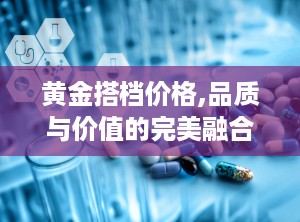 黄金搭档价格,品质与价值的完美融合