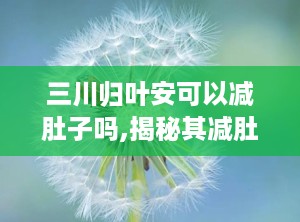 三川归叶安可以减肚子吗,揭秘其减肚子效果与使用方法