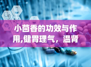 小茴香的功效与作用,健胃理气，温肾散寒的天然良药