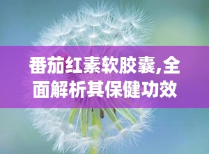 番茄红素软胶囊,全面解析其保健功效与适用人群