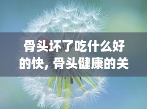 骨头坏了吃什么好的快, 骨头健康的关键营养素