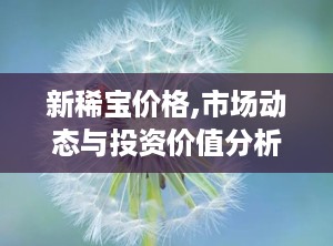 新稀宝价格,市场动态与投资价值分析”
