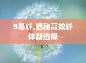 9易纤,揭秘高效纤体新选择