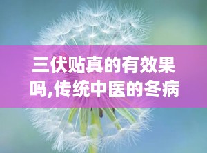 三伏贴真的有效果吗,传统中医的冬病夏治秘方，疗效实证与适用人群解析