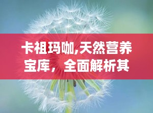 卡祖玛咖,天然营养宝库，全面解析其功效与作用