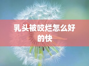 乳头被咬烂怎么好的快