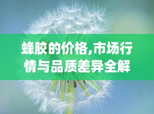蜂胶的价格,市场行情与品质差异全解析